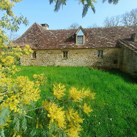 Chartreuse Du Bel Air *