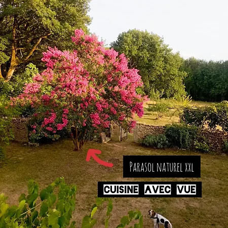 Maison Bel Air De Caractere En Perigord *