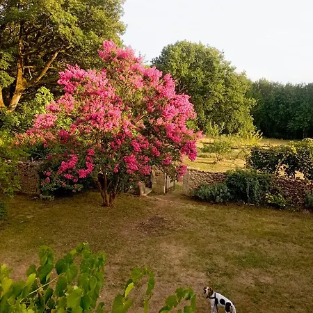 펜션 Maison Bel Air De Caractere En Perigord